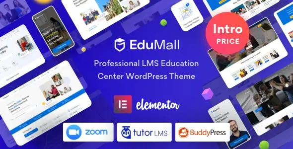 EduMall-Professional-LMS-WordPress-Theme.webp EduMall