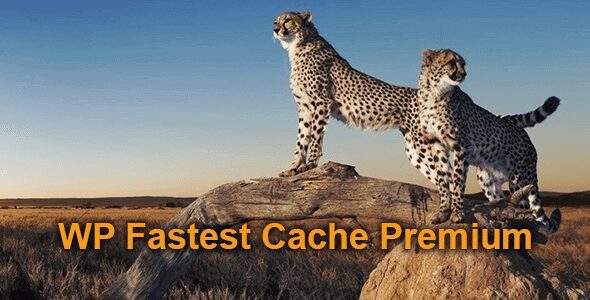 WP Fastest Cache Premium - The fastest and easiest wordpress cache plugin